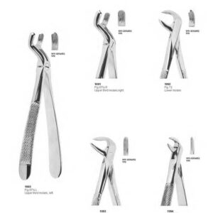 D011 Dental Extracting Forceps English Pattern upper third molar right lower molars lower roots