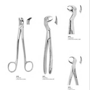 D013 Dental Extracting Forceps English Pattern lower third molars