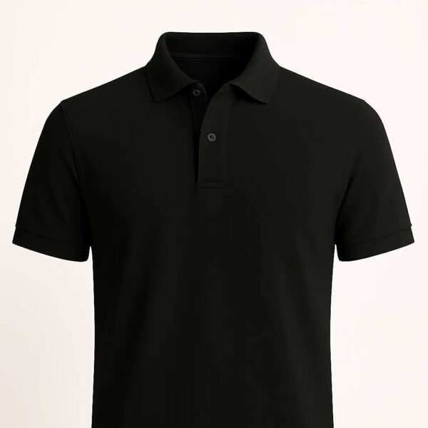 polo shirt2