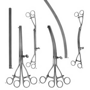 G176 Gastro Intestinal Forceps Twin Lane