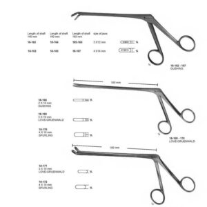 G311 Rongeurs Gushing Love Gruenwald